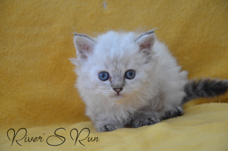 Victoria-17 fevrier 2024 (4).jpg